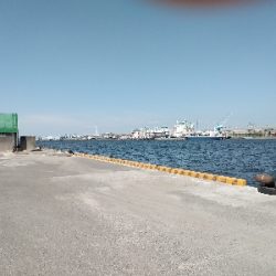 暑い中、諦めずに黒鯛ゲット！