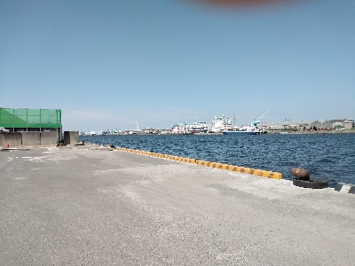 暑い中、諦めずに黒鯛ゲット！