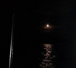 イカメタル不調