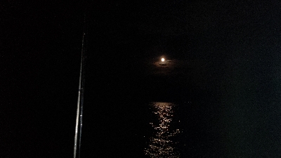 イカメタル不調