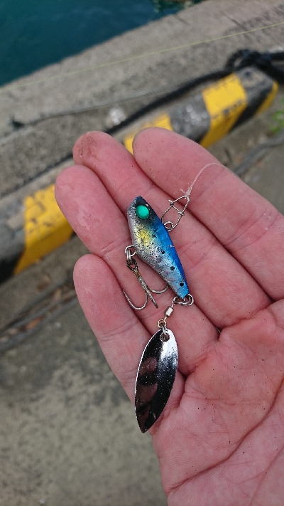 カマス真っ昼間に爆釣