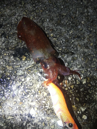 つ抜けに一歩及ばず