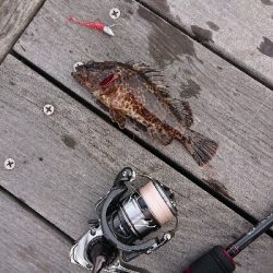 南港ガシリング