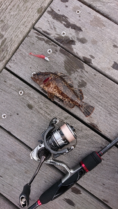 南港ガシリング