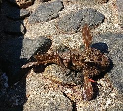 型が良いものばかり！