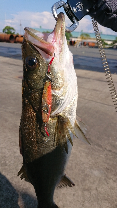 停泊船ゲーム真夏の昼下がり