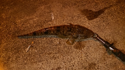 お腹いっぱい？