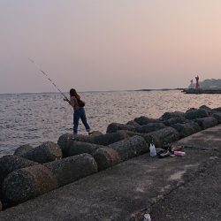 キス釣り、五目釣り