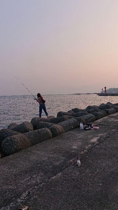 キス釣り、五目釣り