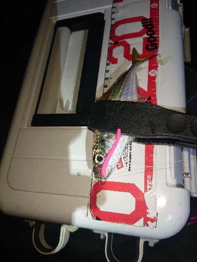 どんどん渋くなる