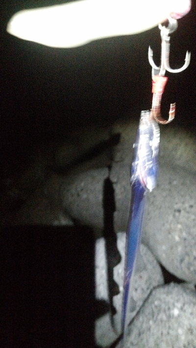 大阪湾タチウオ開幕