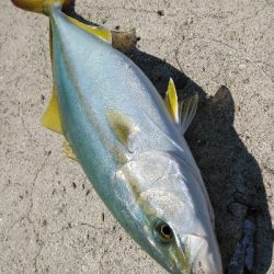 暑いけど粘れば何とか