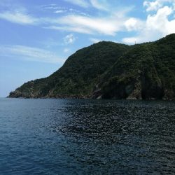 沖磯 ロックショア