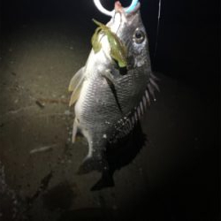 ナイトチニング！