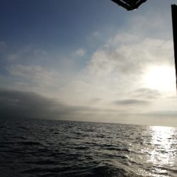 初めてのオモリグ挑戦