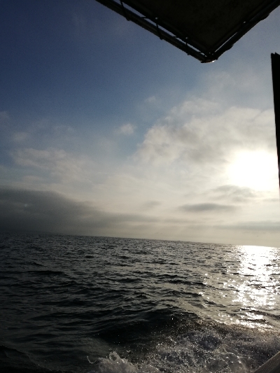 初めてのオモリグ挑戦