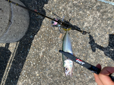 貸し切りデイアジング