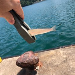 ちょい投げキス