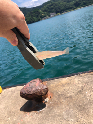 ちょい投げキス