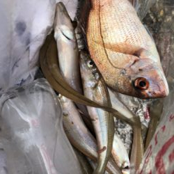 チョイの間のキス