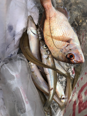 チョイの間のキス