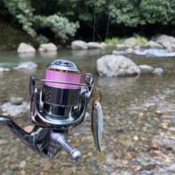 カワムツをスプーンで釣る