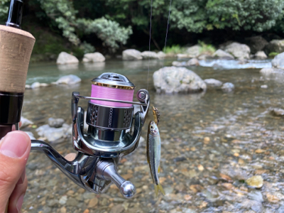 カワムツをスプーンで釣る