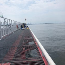 最近の釣果を見て、