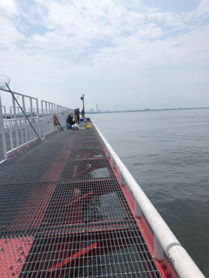 最近の釣果を見て、