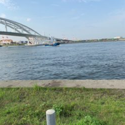 早朝 短時間釣行！