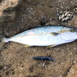 ベイトロッドで『ショア』ジギング