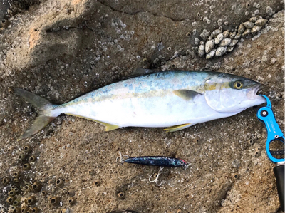 ベイトロッドで『ショア』ジギング