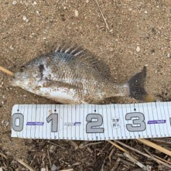 梅雨明け一発目！