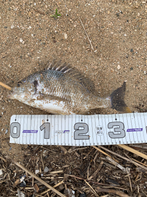 梅雨明け一発目！