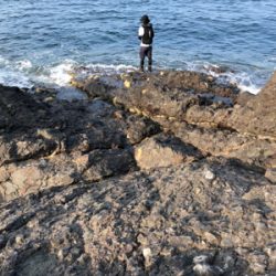 灼熱　青物修行