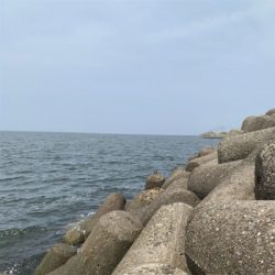 朝まずめ逃すもアジ6匹