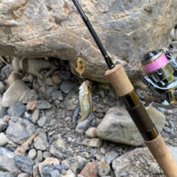 川魚 スプーン釣り