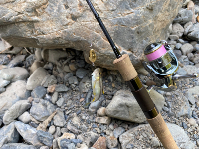 川魚 スプーン釣り