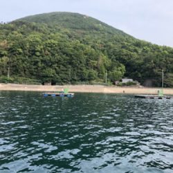 久しぶりの爆釣