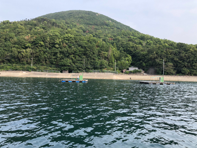 久しぶりの爆釣