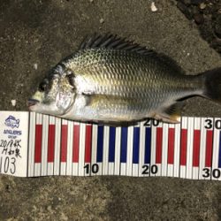 水温たかすぎ！