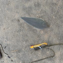 連休初日から混んでます