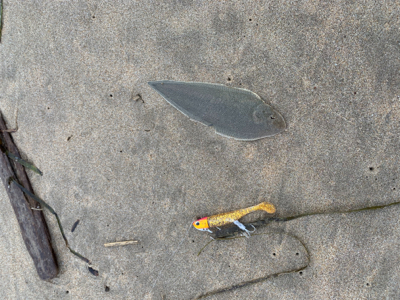 連休初日から混んでます