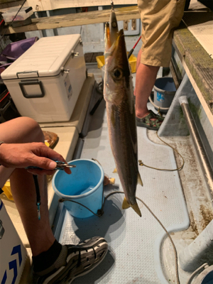 若狭湾イカメタル