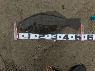 激渋サーフワームで攻略