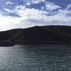 初見草漁港!カンパチ釣れた!