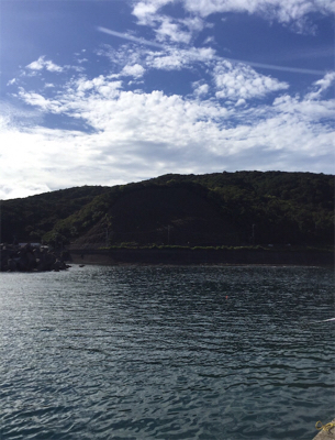 初見草漁港!カンパチ釣れた!