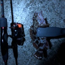 超ーー久々の投稿！