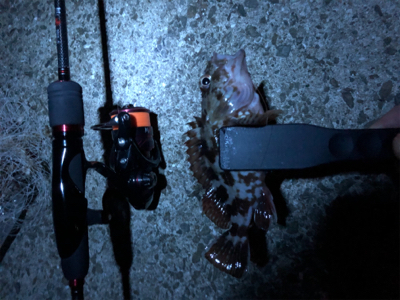 超ーー久々の投稿！