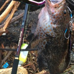 やっとお父さん